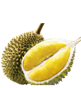 DURIAN 