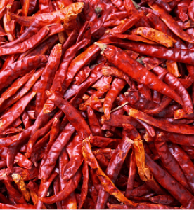 Dried red chillies 