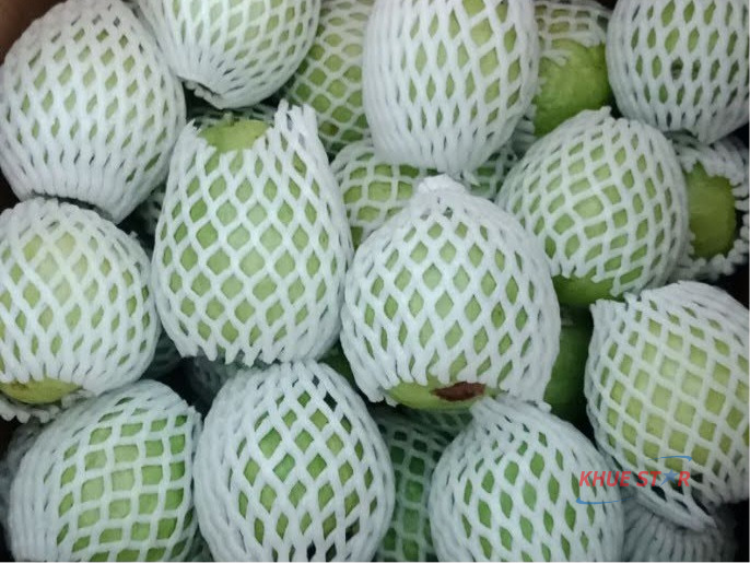 Vietnam fresh guava packing for export